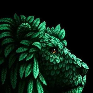 Meet your Posher, Noah